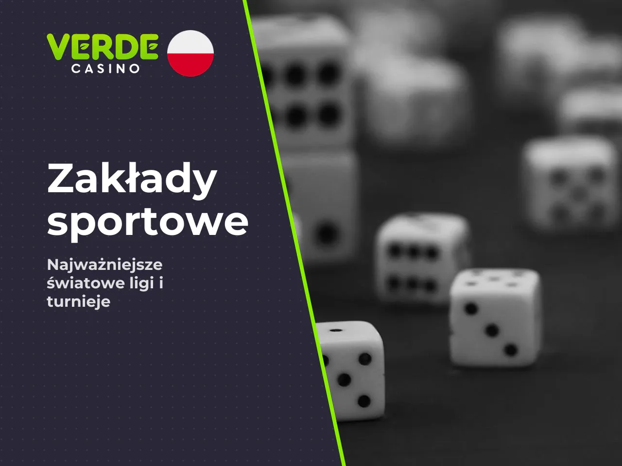 Popularne dyscypliny i ligi. Sekcja sportowa